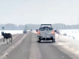 Video ekrānuzņēmums, kas uzņemts pagājušā gada 9. decembrī Saldus novada Jaunlutriņu pagastā uz autoceļa Saldus—Kuldīga